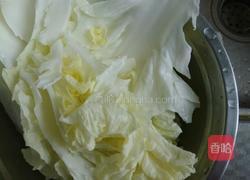 家常版洛阳白菜的做法图解2