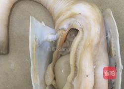 刺生象拔蚌的做法图解2