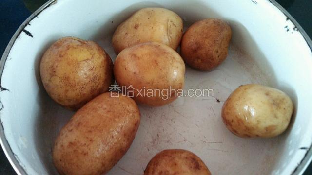 新土豆洗干净，不用削皮