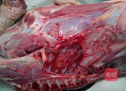 香辣啤酒鸭的做法图解1