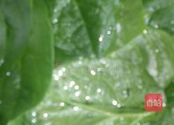 木耳菜炒鸡蛋的做法图解1