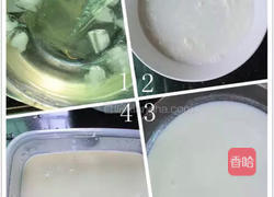 椰子雪花膏的做法图解2