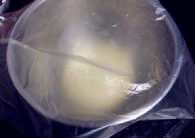 面团盖上保鲜膜室温发酵。室温20多度发酵6-8小时，天热还是选择冰箱冷藏过夜，发酵10-12小时。冷藏没发酵到位，可室温再发会儿，直至一发完成。酵母版的时间短点。