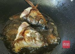鱼头炖豆腐的做法图解4