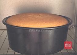 酸奶蛋糕的做法图解8