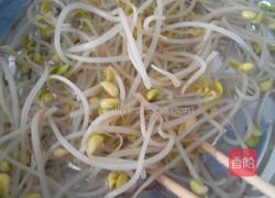 蚝油爆炒豆芽的做法图解3