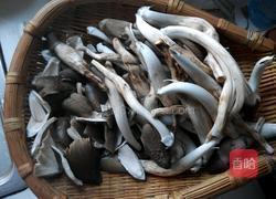 山珍鸡枞汤的做法图解1