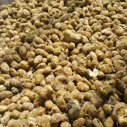 黄豆做酱捂豆篇的做法[图]