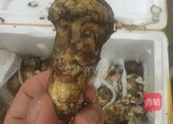 刺生松茸菌的做法图解1