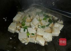 炖豆腐的做法图解5