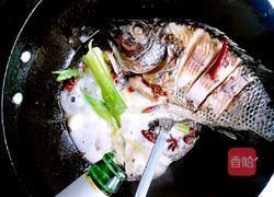 啤酒炖鱼的做法图解6