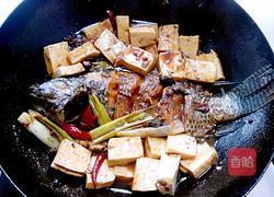 啤酒炖鱼的做法图解10