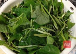 蒜蓉苕尖的做法图解2