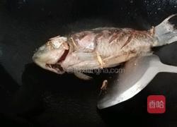 白瓜鲫鱼汤的做法图解4