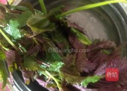 紫苏辣椒鱼的做法图解3