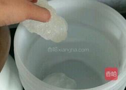 苦瓜酵素的做法图解3