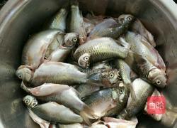 油炸小鲫鱼的做法图解1