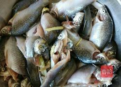 油炸小鲫鱼的做法图解3