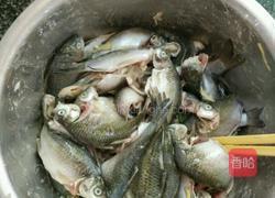 油炸小鲫鱼的做法图解4