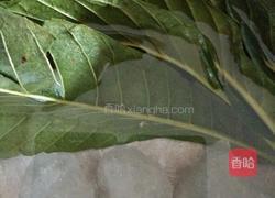 冰糖枇杷汁的做法图解2