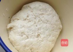 香菇酱肉包的做法图解8