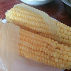 东北大锅煮玉米的做法[图]