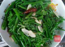 炒洋瓜尖的做法图解4