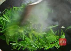 炒洋瓜尖的做法图解3