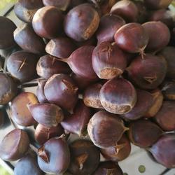 煮栗子的做法[图]