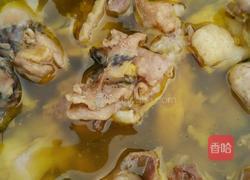 煮鸡的做法图解5