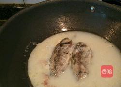鲫鱼汤的做法图解5