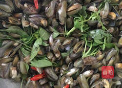 九层塔（金不换）炒薄壳的做法图解4