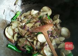葱炒茄子的做法图解3