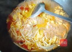 蕃茄炒蛋面的做法图解8