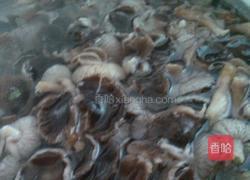 肉炒尖椒蘑菇的做法图解3