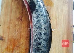 红烧黑鱼的做法图解1