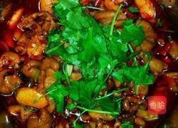 红烧肥肠的做法图解3