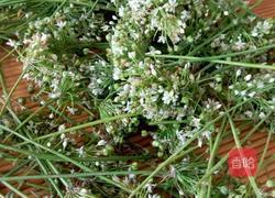 韭菜花酱的做法图解1