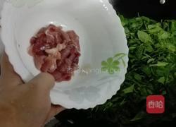 瘦肉枸杞叶汤的做法图解6