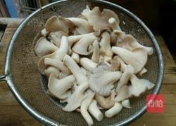 凉拌绣珍菇的做法图解3