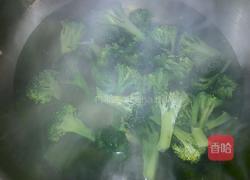 辣炒西兰花的做法图解2