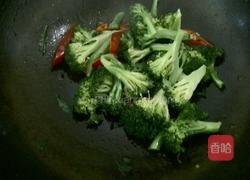辣炒西兰花的做法图解4