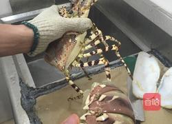 刺生澳洲龙虾的做法图解3