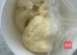 芒果糯米糍的做法图解7