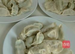 韭菜鸡蛋饺子的做法图解8