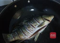 萝卜丝鲫鱼的做法图解3