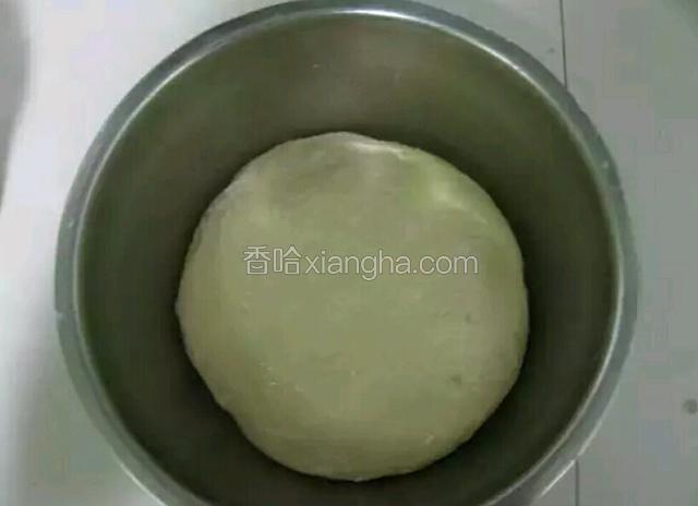 待面和的差不多了，用手蘸油把面揉好，就这样，用保鲜膜盖好，等待发酵。