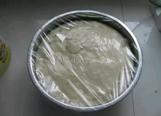 发酵好的面。