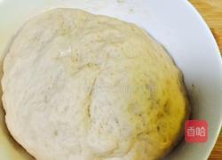 巧克力双色馒头的做法图解6