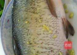清蒸鳊鱼的做法图解1